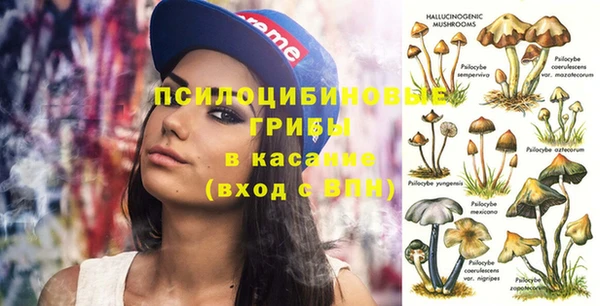 винт Усолье-Сибирское