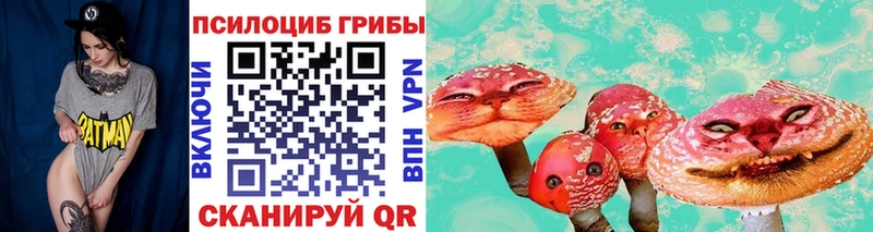 МЕГА   Вилючинск  Галлюциногенные грибы Psilocybine cubensis 